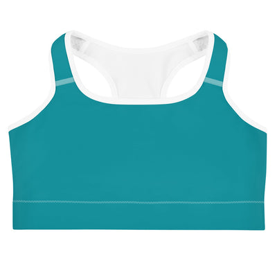 Blue Sports bra | Yoga Wear | Activewear | Lily Mist